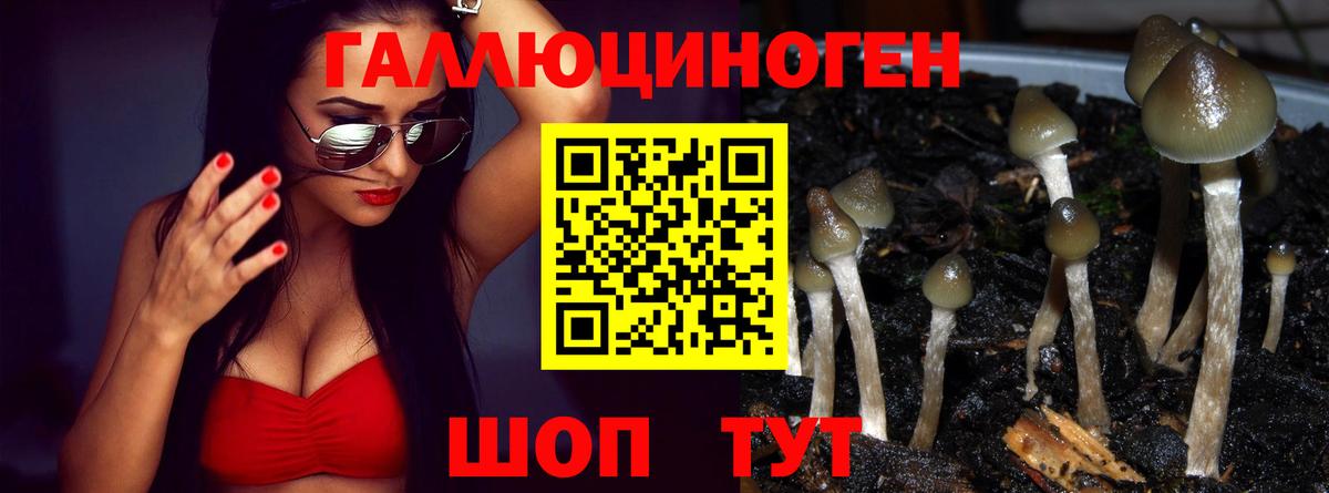 Иваново  Галлюциногенные грибы прущие грибы  Вход с VPN 
